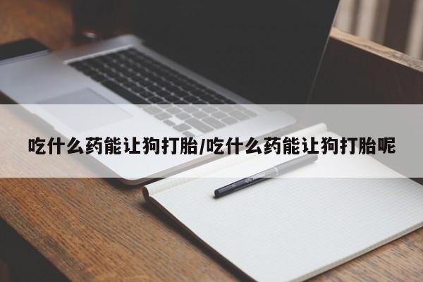 堕胎药网上可以购买吗吃什么药能让狗打胎/吃什么药能让狗打胎呢