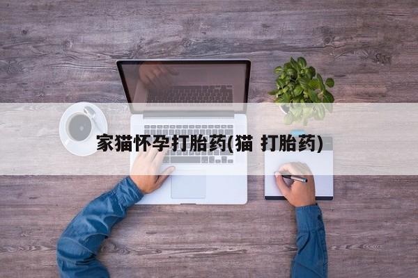 堕胎药网上可以购买吗家猫怀孕打胎药(猫 打胎药)